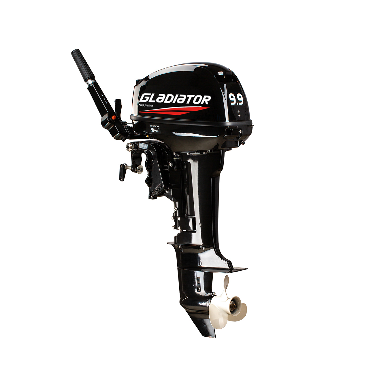 ЛОДОЧНЫЙ МОТОР GLADIATOR G9.9FHS в Ангарске