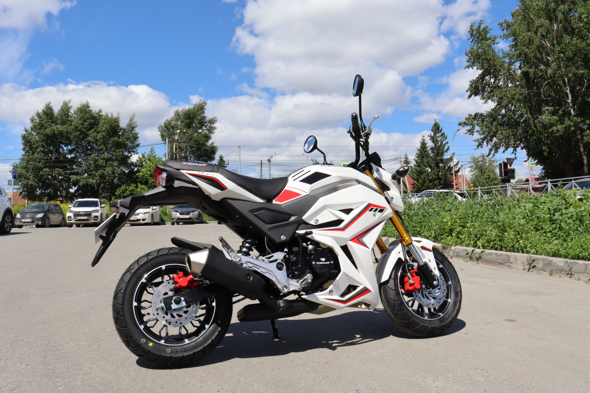 Мотоцикл PROMAX STRYKER 200(49) 2.0 в Ангарске