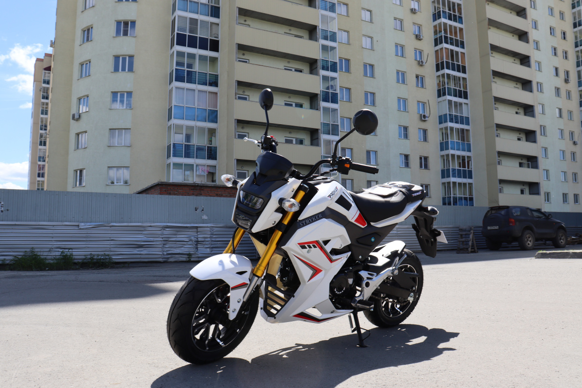 Мотоцикл PROMAX STRYKER 200(49) 2.0 в Ангарске
