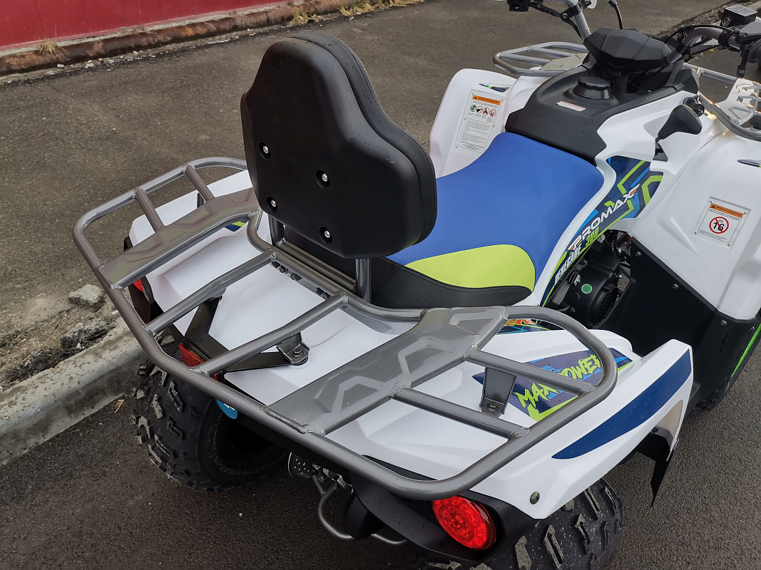 Квадроцикл PROMAX RENEGADE 280 LUX (2025) в Ангарске