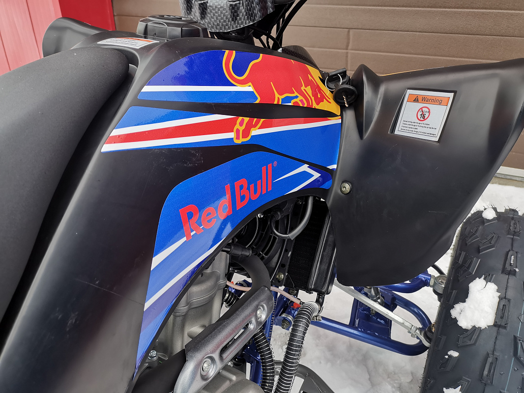 Квадроцикл PROMAX RAPTOR 300 NEW RedBull в Ангарске