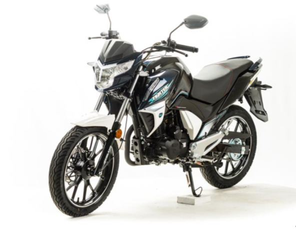 Мотоцикл MOTOLAND (МОТОЛЕНД) FIGHTER 250 в Ангарске