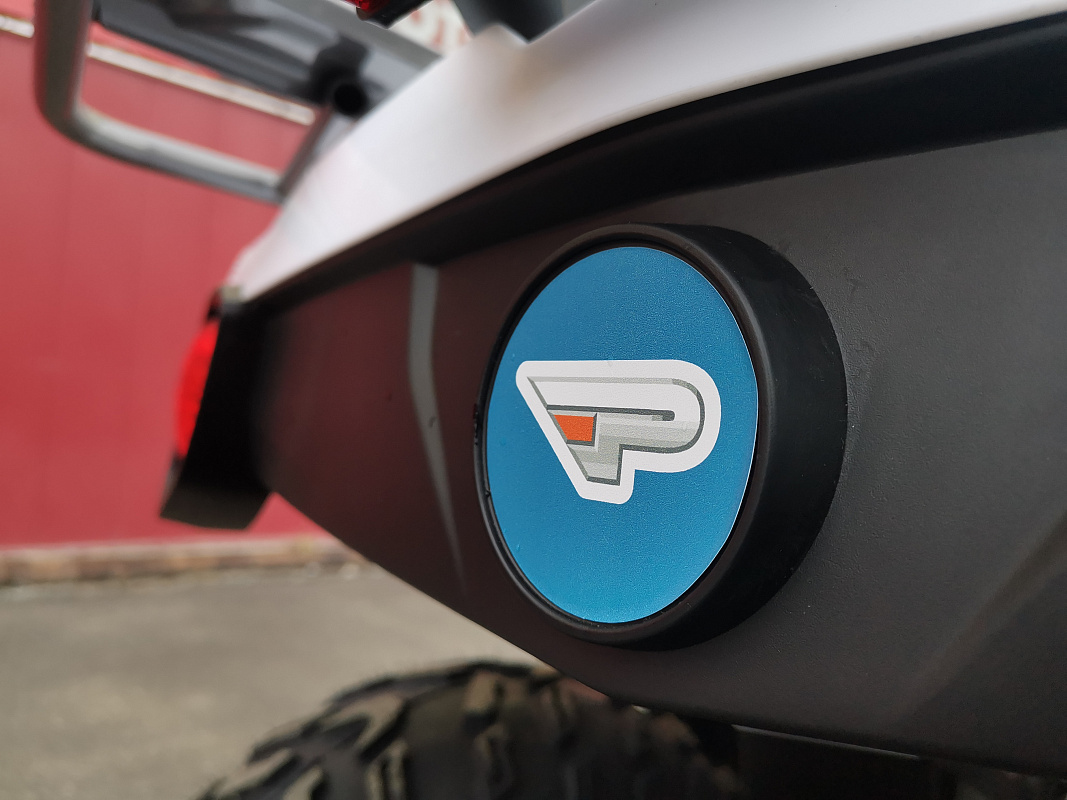 Квадроцикл PROMAX RENEGADE 280 LUX (2025) в Ангарске