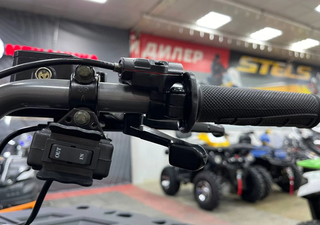 Квадроцикл PROMAX RENEGADE 300 LONG WINCH PRO (2025) в Ангарске