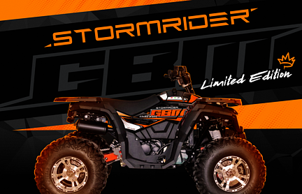 Квадроцикл GBM STORMRIDER 320 NEW LUX в Ангарске