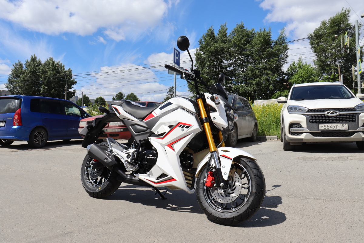 Мотоцикл PROMAX STRYKER 200(49) 2.0 в Ангарске