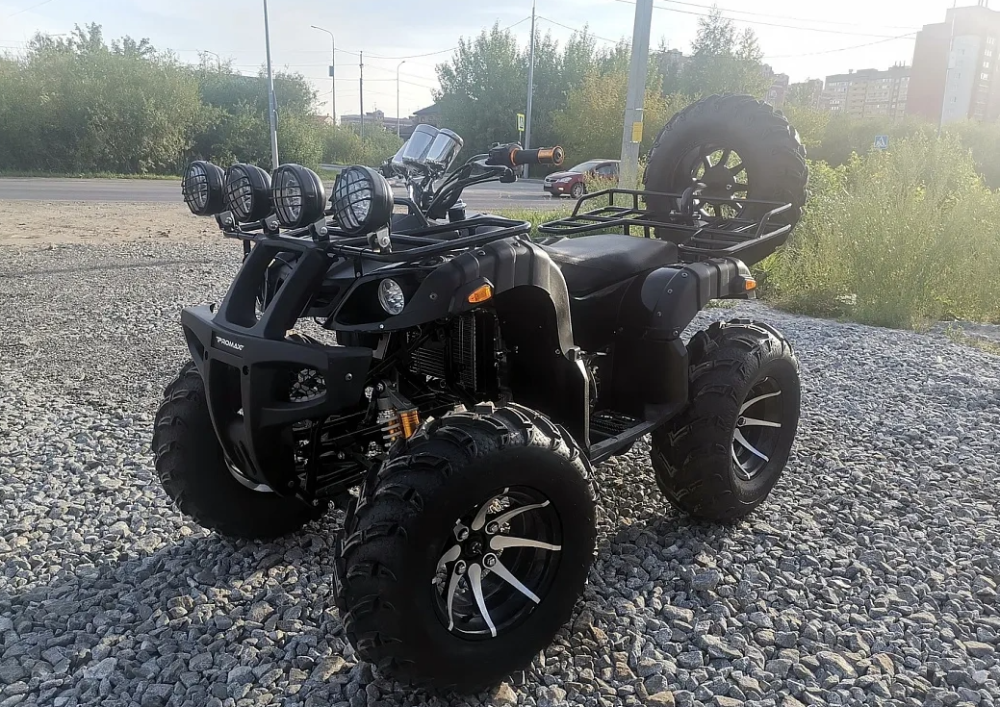 Квадроцикл PROMAX LEO 300 Max (кардан) в Ангарске