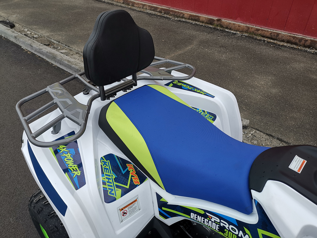Квадроцикл PROMAX RENEGADE 280 LUX (2025) в Ангарске