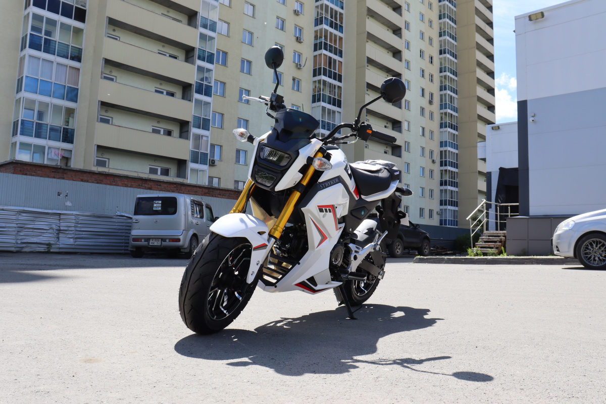Мотоцикл PROMAX STRYKER 200(49) 2.0 в Ангарске