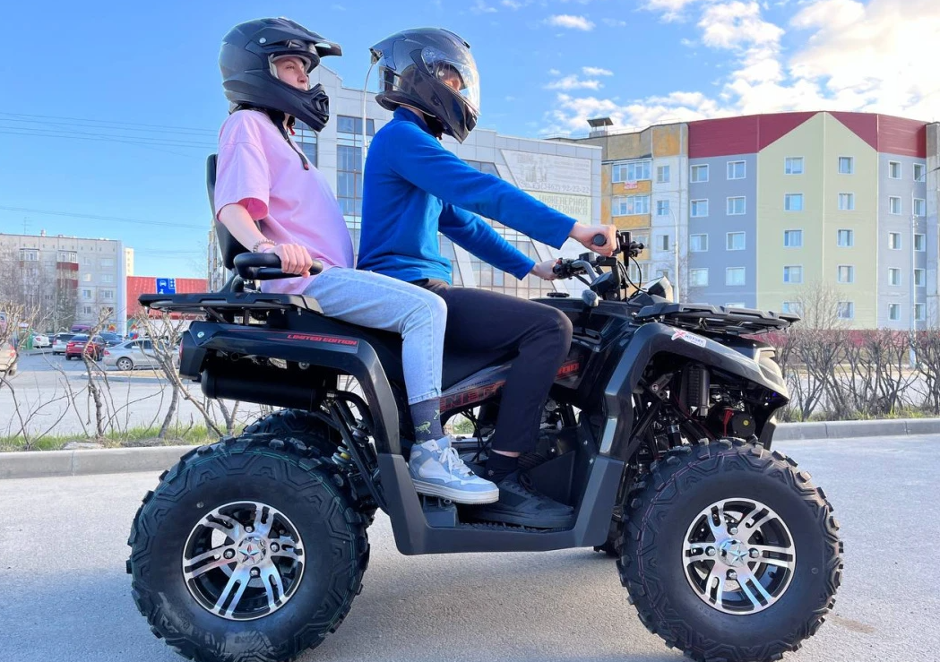 Квадроцикл PROMAX RENEGADE 300 LONG WINCH PRO (2025) в Ангарске