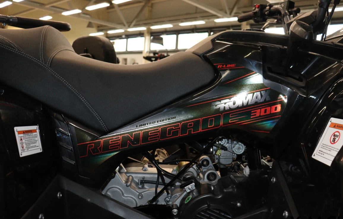 Квадроцикл PROMAX RENEGADE 300 LONG WINCH PRO (2025) в Ангарске