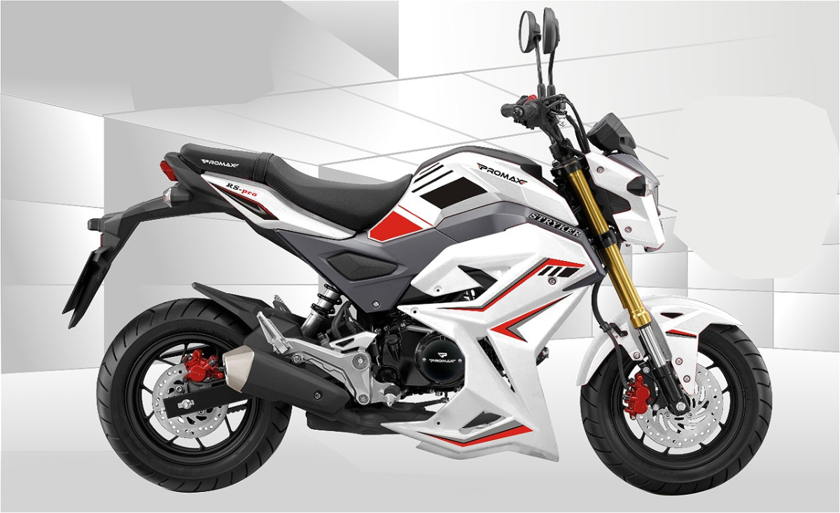 Мотоцикл PROMAX STRYKER 200(49) 2.0 в Ангарске