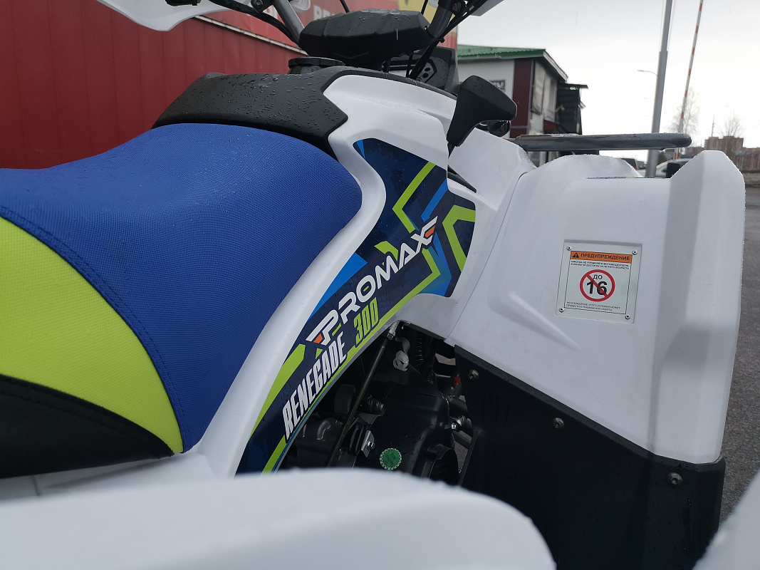 Квадроцикл PROMAX RENEGADE 280 LUX (2025) в Ангарске