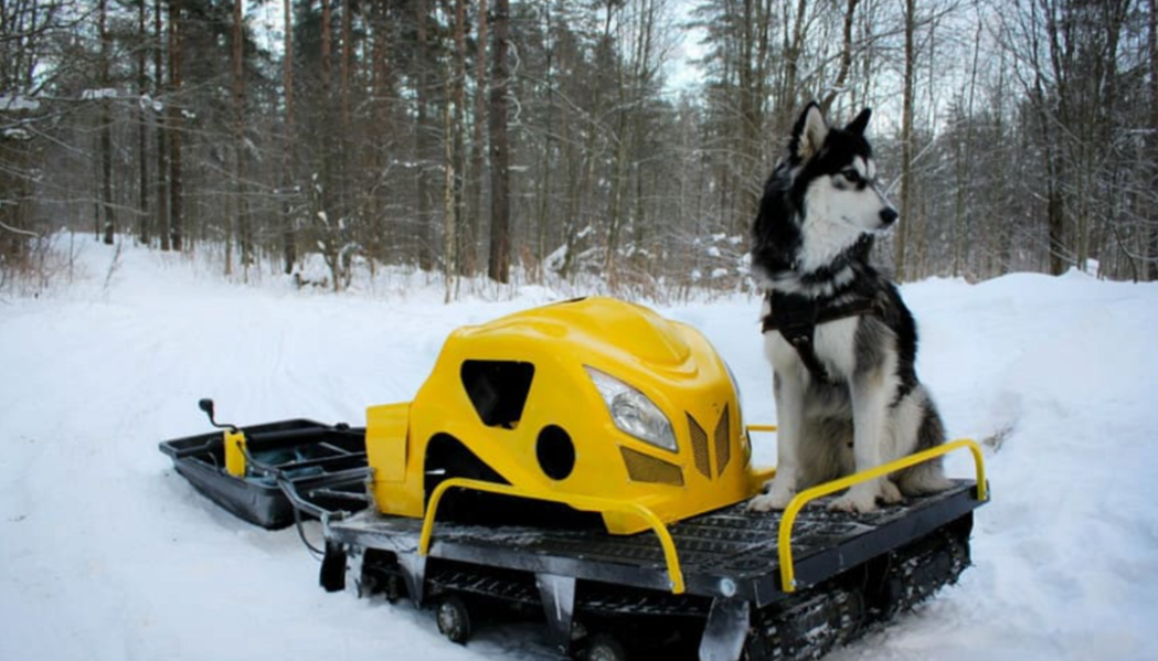 Мотобуксировщик LEBEDEV MOTORS ВОЛКОДАВ POWER V13 в Ангарске