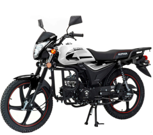 Мопед MOTOLAND (МОТОЛЕНД) Альфа RS 11 (LM48-B) в Ангарске