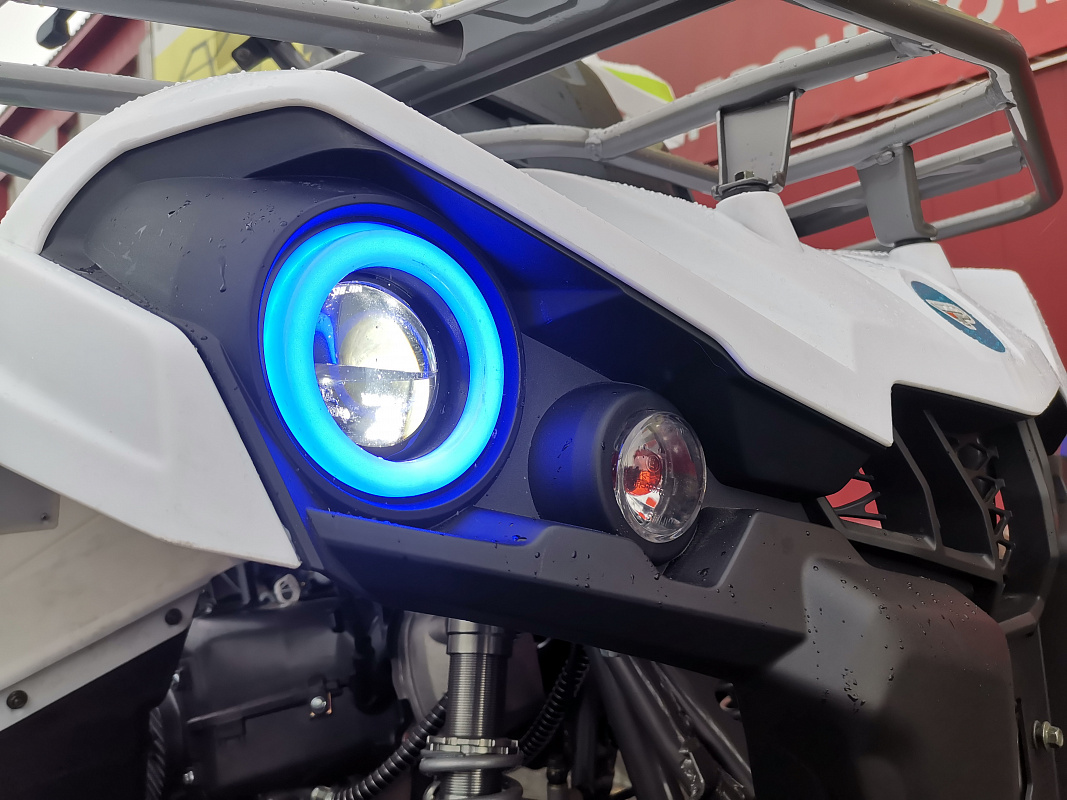 Квадроцикл PROMAX RENEGADE 280 LUX (2025) в Ангарске