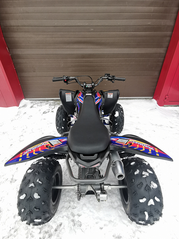 Квадроцикл PROMAX RAPTOR 300 NEW RedBull в Ангарске