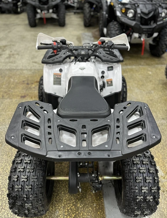 Квадроцикл PROMAX WILD 2.0 190 в Ангарске