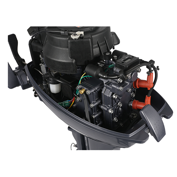 ЛОДОЧНЫЙ МОТОР ALLFA CG Т9,9 в Ангарске