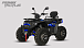 Квадроцикл PROMAX TAURUS 300 MAX-PRO LONG в Ангарске