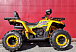 Квадроцикл PROMAX STORM 280 LUX в Ангарске