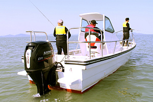 NEW "HIDEA EFI" мощностью 130/115 л.с.