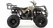 Квадроцикл MOTOLAND (МОТОЛЕНД) 200 ALL ROAD в Ангарске