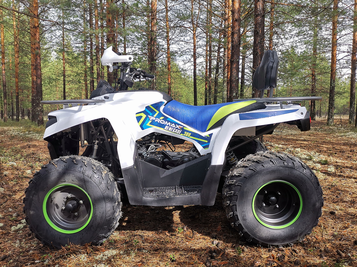 Квадроцикл PROMAX RENEGADE 280 (2025) в Ангарске