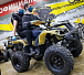 Квадроцикл PROMAX ATV 250 (2025) в Ангарске