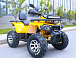 Квадроцикл MOTOLAND (МОТОЛЕНД) VOX200 WILD TRACK X PRO (баланс. вал) в Ангарске