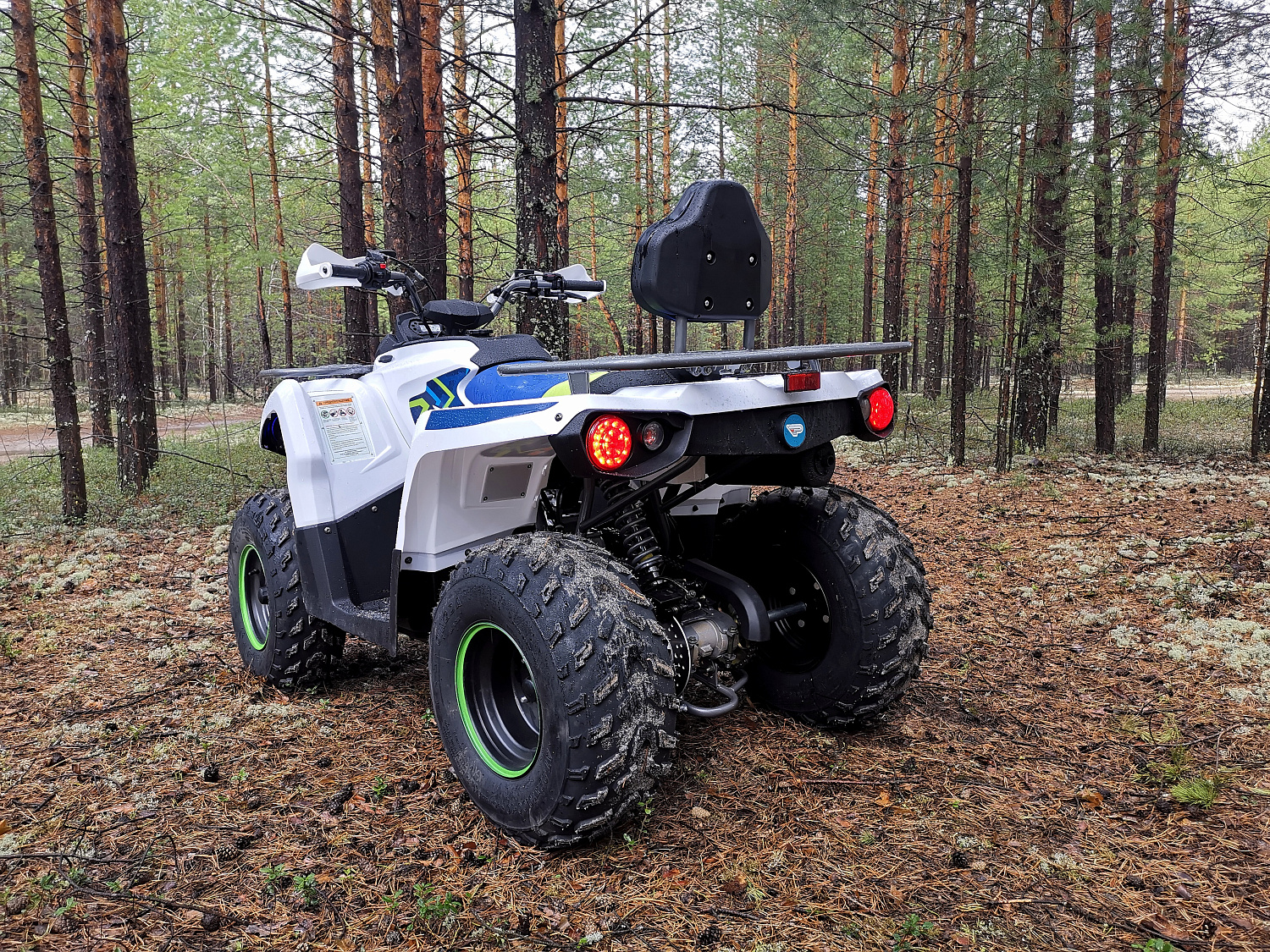 Квадроцикл PROMAX RENEGADE 280 (2025) в Ангарске