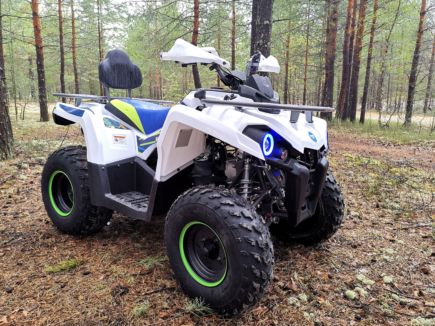 Квадроцикл PROMAX RENEGADE 280 (2025) в Ангарске