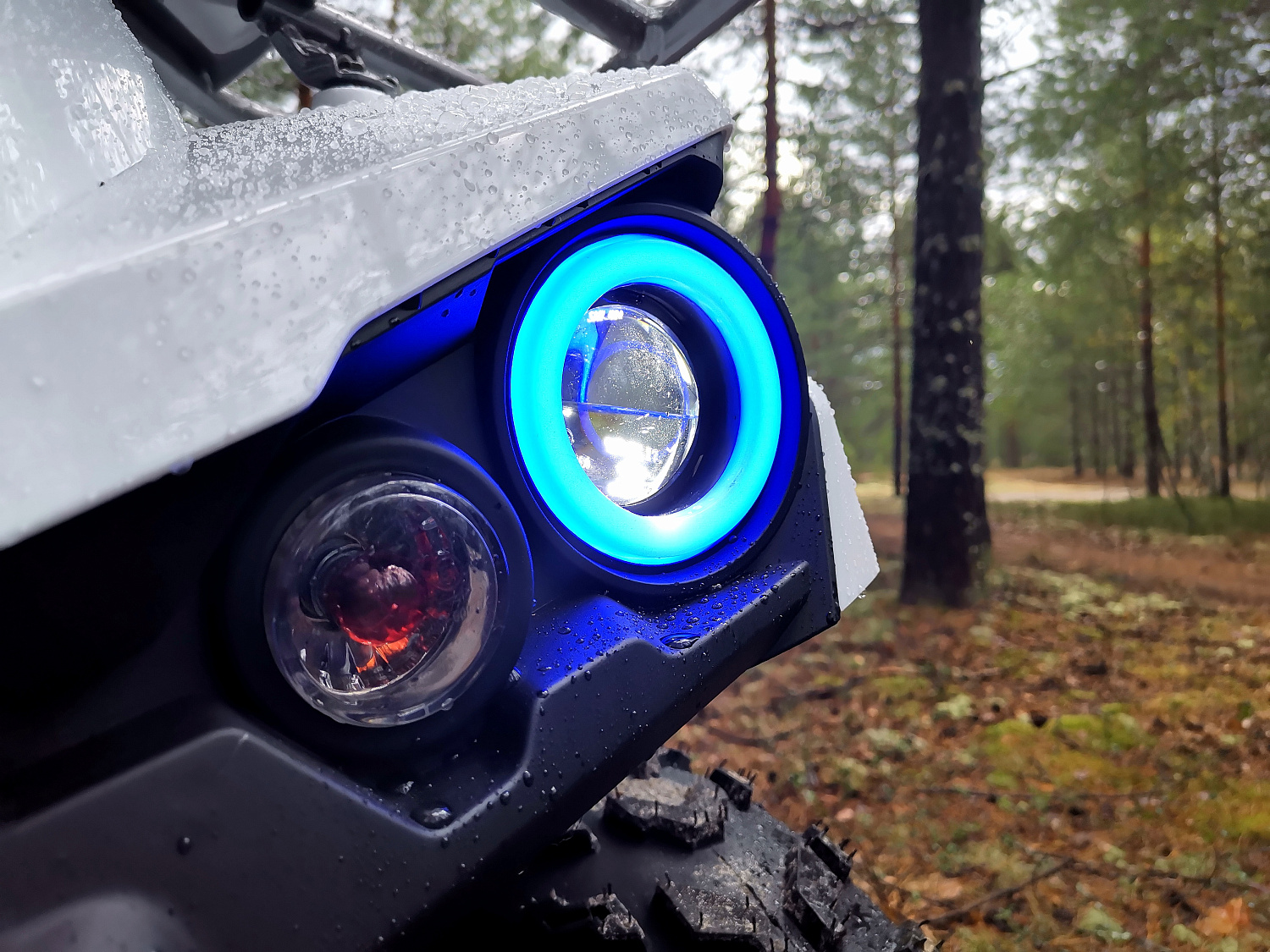 Квадроцикл PROMAX RENEGADE 280 (2025) в Ангарске