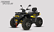 Квадроцикл PROMAX TAURUS 300 MAX-PRO LONG в Ангарске